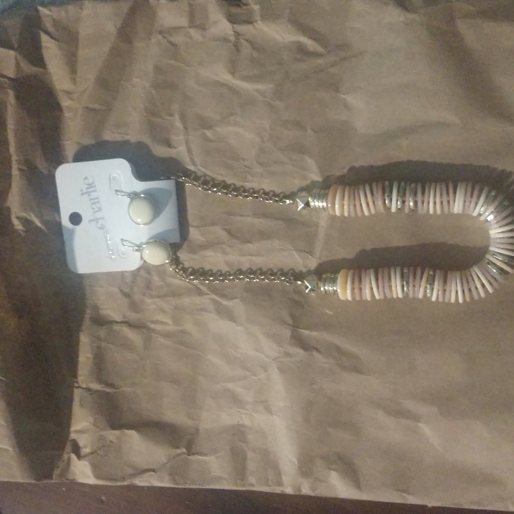 Charming Charlie earrings and necklace set